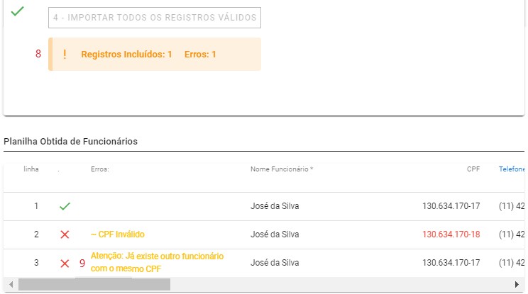 Importar Planilha de Funcionário - resultado